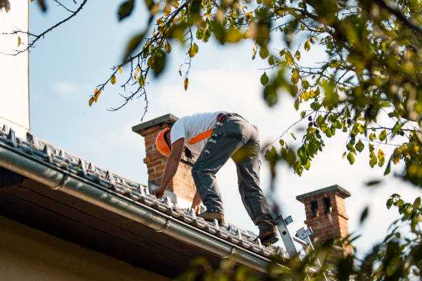 Best Roof Repair  in Montgomery, OH